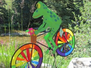 frog on bicycle