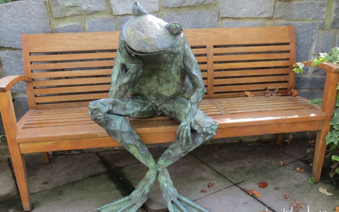 Behold Playfulness: Find Joy in Your Creative Writer’s Heart