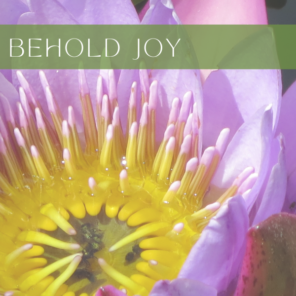 Beholding Joy Workbook