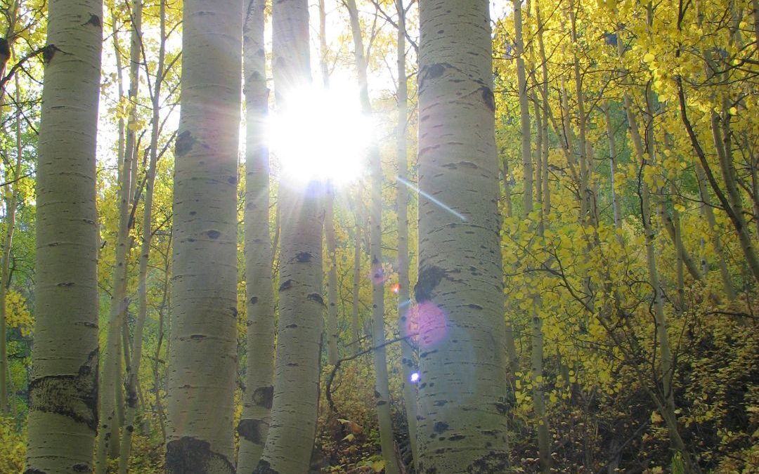 A Season of Decisions: Listening for God in Every Invitation