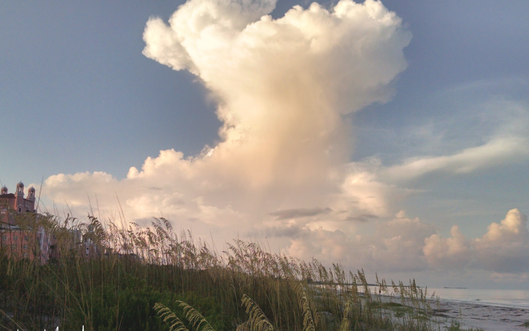 Where Words and Creation Meet