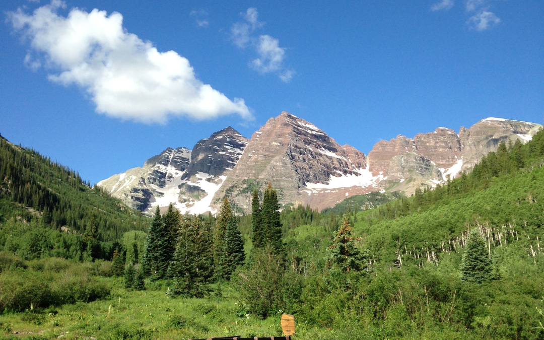 Savoring Psalm 34:8 – O Taste and See