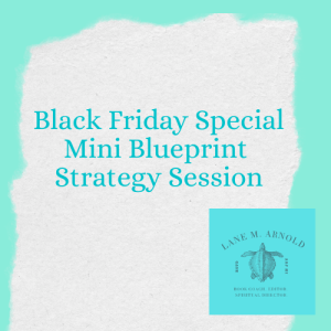 Black Friday Mini Blueprint Strategy Session