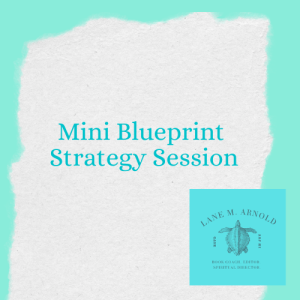 Mini Blueprint Strategy Session